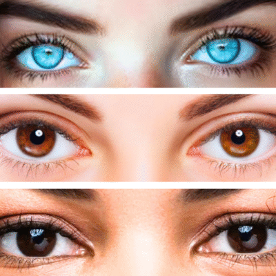 Muy oscuros o muy claros, color intenso (negro, azul hielo, marr&oacute;n chocolate)